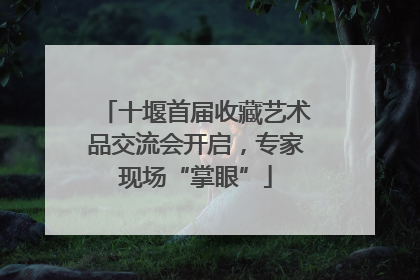 十堰首届收藏艺术品交流会开启，专家现场“掌眼”