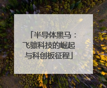 半导体黑马：飞骧科技的崛起与科创板征程
