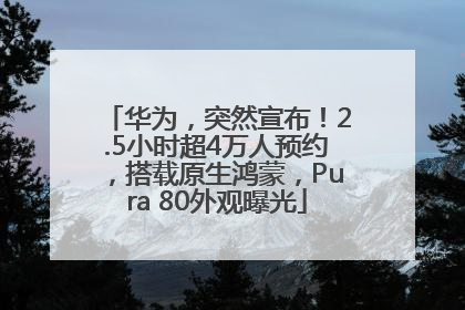 华为，突然宣布！2.5小时超4万人预约，搭载原生鸿蒙，Pura 80外观曝光