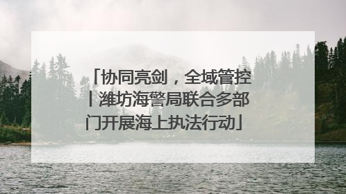 协同亮剑，全域管控丨潍坊海警局联合多部门开展海上执法行动