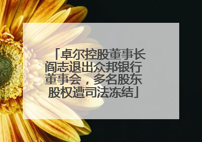 卓尔控股董事长阎志退出众邦银行董事会，多名股东股权遭司法冻结