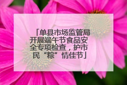 单县市场监管局开展端午节食品安全专项检查，护市民“粽”情佳节