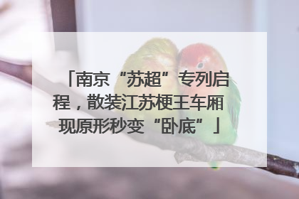 南京“苏超”专列启程，散装江苏梗王车厢现原形秒变“卧底”