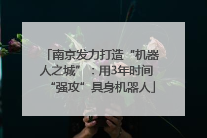 南京发力打造“机器人之城”：用3年时间“强攻”具身机器人