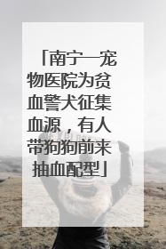 南宁一宠物医院为贫血警犬征集血源，有人带狗狗前来抽血配型