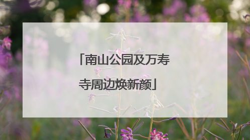 南山公园及万寿寺周边焕新颜