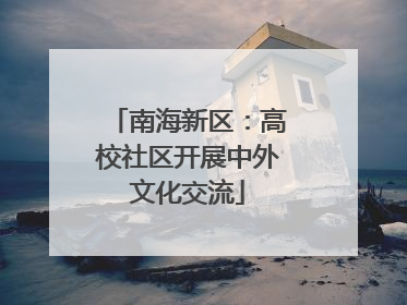 南海新区：高校社区开展中外文化交流