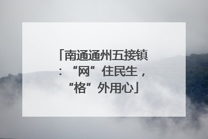 南通通州五接镇：“网”住民生，“格”外用心