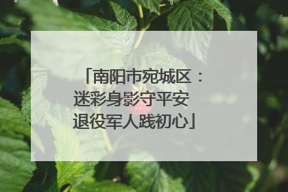 南阳市宛城区：迷彩身影守平安 退役军人践初心