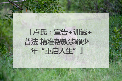 卢氏：宣告+训诫+普法 精准帮教涉罪少年“重启人生”