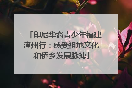 印尼华裔青少年福建漳州行：感受祖地文化和侨乡发展脉搏