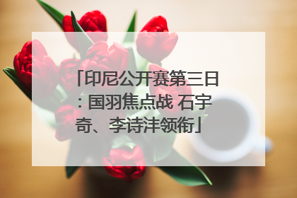 印尼公开赛第三日：国羽焦点战 石宇奇、李诗沣领衔