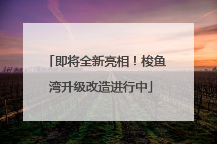 即将全新亮相！梭鱼湾升级改造进行中