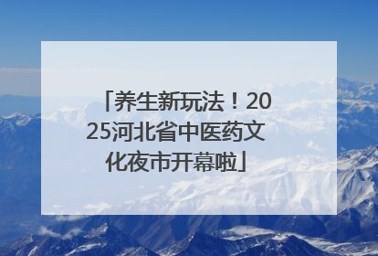 养生新玩法！2025河北省中医药文化夜市开幕啦
