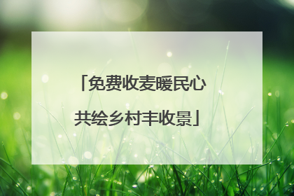 免费收麦暖民心 共绘乡村丰收景