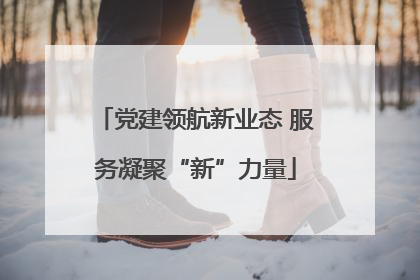 党建领航新业态 服务凝聚“新”力量