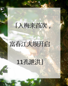 入梅来首次，富春江大坝开启11孔泄洪