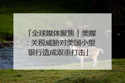 全球媒体聚焦｜美媒：关税威胁对美国小型银行造成双重打击