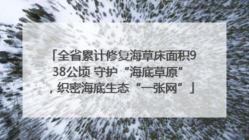全省累计修复海草床面积938公顷 守护“海底草原”，织密海底生态“一张网”