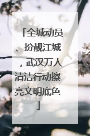 全城动员、扮靓江城，武汉万人清洁行动擦亮文明底色