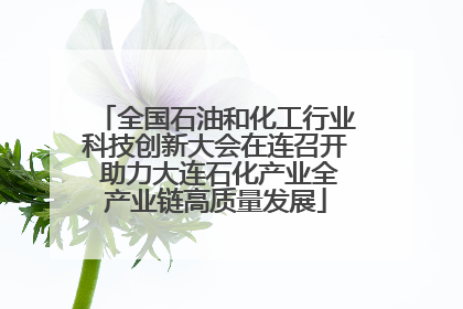 全国石油和化工行业科技创新大会在连召开 助力大连石化产业全产业链高质量发展