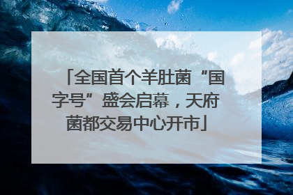 全国首个羊肚菌“国字号”盛会启幕，天府菌都交易中心开市