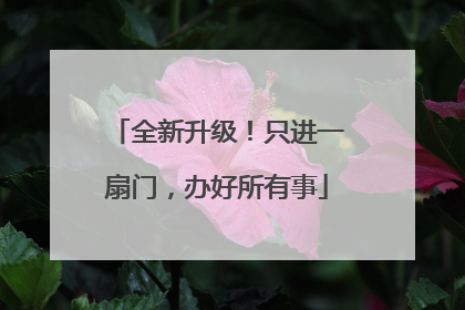 全新升级！只进一扇门，办好所有事
