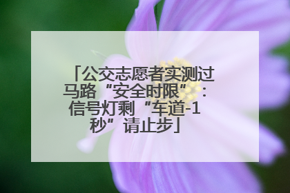 公交志愿者实测过马路“安全时限”：信号灯剩“车道-1秒”请止步