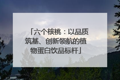 六个核桃：以品质筑基、创新领航的植物蛋白饮品标杆