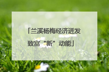 兰溪杨梅经济迸发致富“新”动能