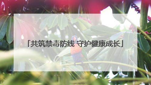 共筑禁毒防线 守护健康成长