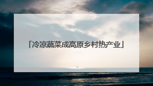 冷凉蔬菜成高原乡村热产业