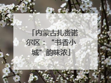 内蒙古扎赉诺尔区：“书香小城”韵味浓