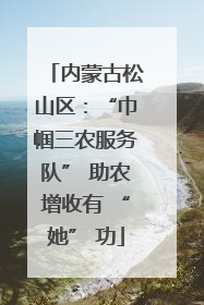 内蒙古松山区：“巾帼三农服务队” 助农增收有 “她” 功
