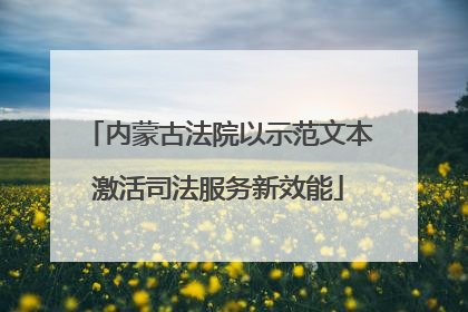 内蒙古法院以示范文本激活司法服务新效能