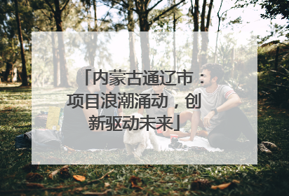 内蒙古通辽市：项目浪潮涌动，创新驱动未来