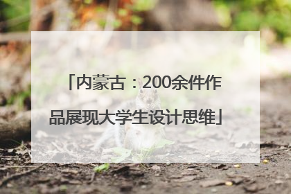 内蒙古：200余件作品展现大学生设计思维
