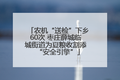 农机“送检”下乡60次 枣庄薛城临城街道为夏粮收割添“安全引擎”