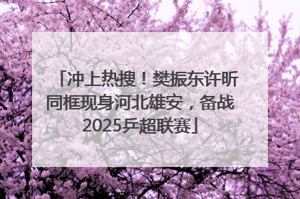 冲上热搜！樊振东许昕同框现身河北雄安，备战2025乒超联赛
