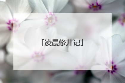 凌晨修井记