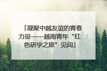 凝聚中越友谊的青春力量——越南青年“红色研学之旅”见闻