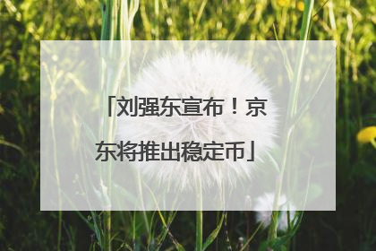 刘强东宣布！京东将推出稳定币