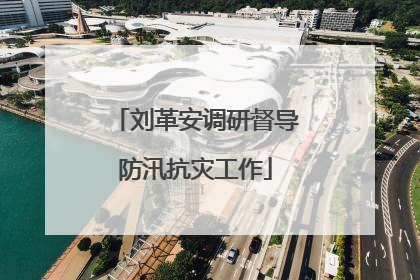 刘革安调研督导防汛抗灾工作