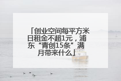 创业空间每平方米日租金不超1元，浦东“青创15条”满月带来什么