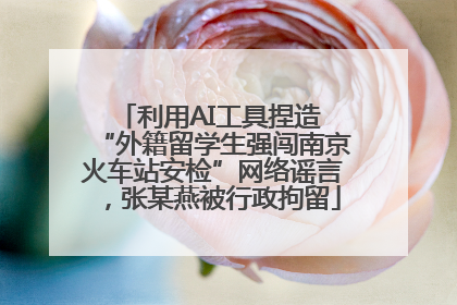 利用AI工具捏造 “外籍留学生强闯南京火车站安检”网络谣言，张某燕被行政拘留