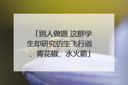 别人做题 这群学生却研究仿生飞行器、青花椒、水火箭