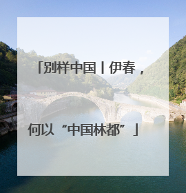 别样中国丨伊春，何以“中国林都”