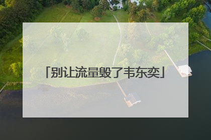 别让流量毁了韦东奕
