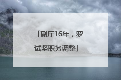 副厅16年，罗试坚职务调整