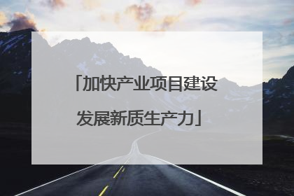 加快产业项目建设 发展新质生产力